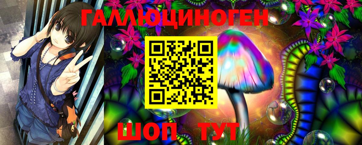 Ирбит  Галлюциногенные грибы Psilocybe  Вход с VPN 